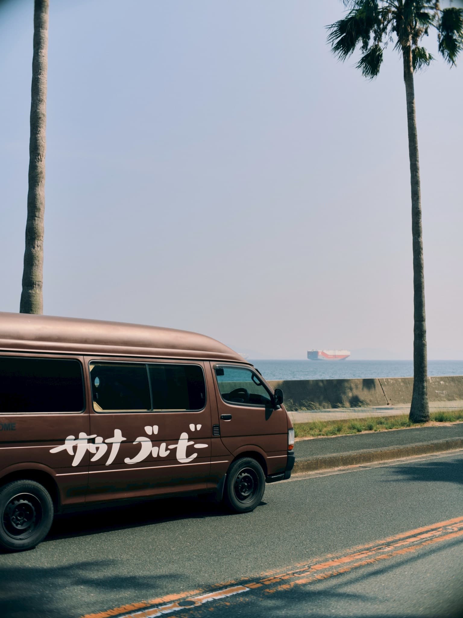 ヤシ並木と海